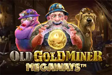 OLD GOLD MINER MEGAWAYS?v=7.0